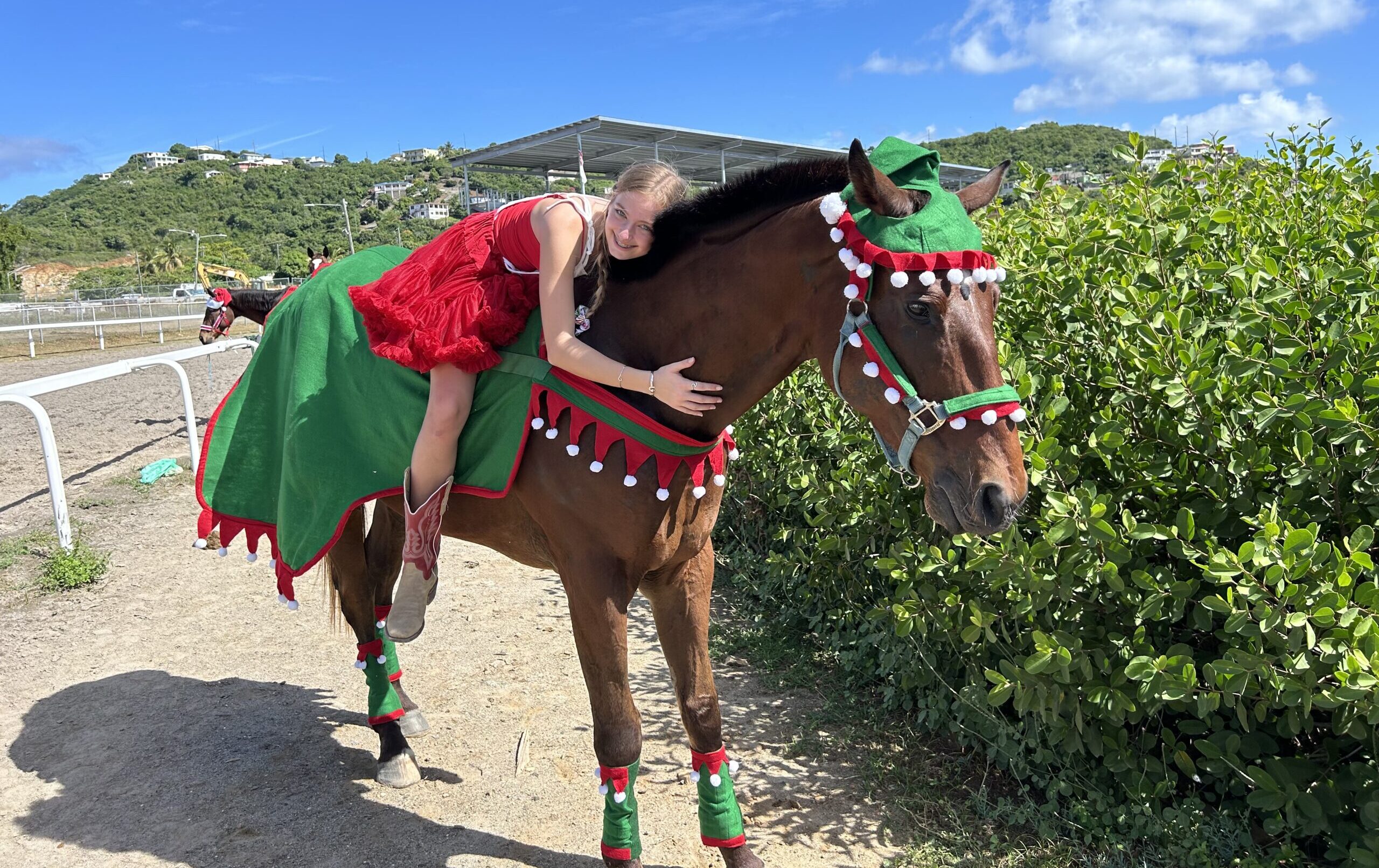 Jaden Muse with Alpha, one of the Triple H Ranch horses, dressed in his holiday finest at the Clinton E. Phipps Racetrack on St. Thomas. (Photo courtesy Triple H Ranch)