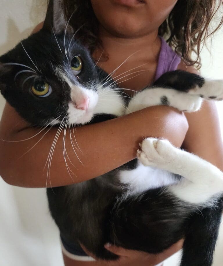 Adopt a Special Pet and Provide a Fur-ever Home!