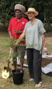 Olasee Davis and Susan Austin Kraeger, board chair of the St. George Village Botanical Garden, prepare to plant a tamarind tree Wednesday in celebration of the award of $6.5 million in urban forestry grants for the big island under President Joe Biden’s Inflation Reduction Act. (Source photo by Sian Cobb)