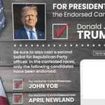 Campaign flyer