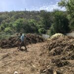 IGLA’s pilot program composted green waste after the 2017 hurricanes. Amy H. Roberts