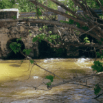 Old Danish bridge at Estate Williams