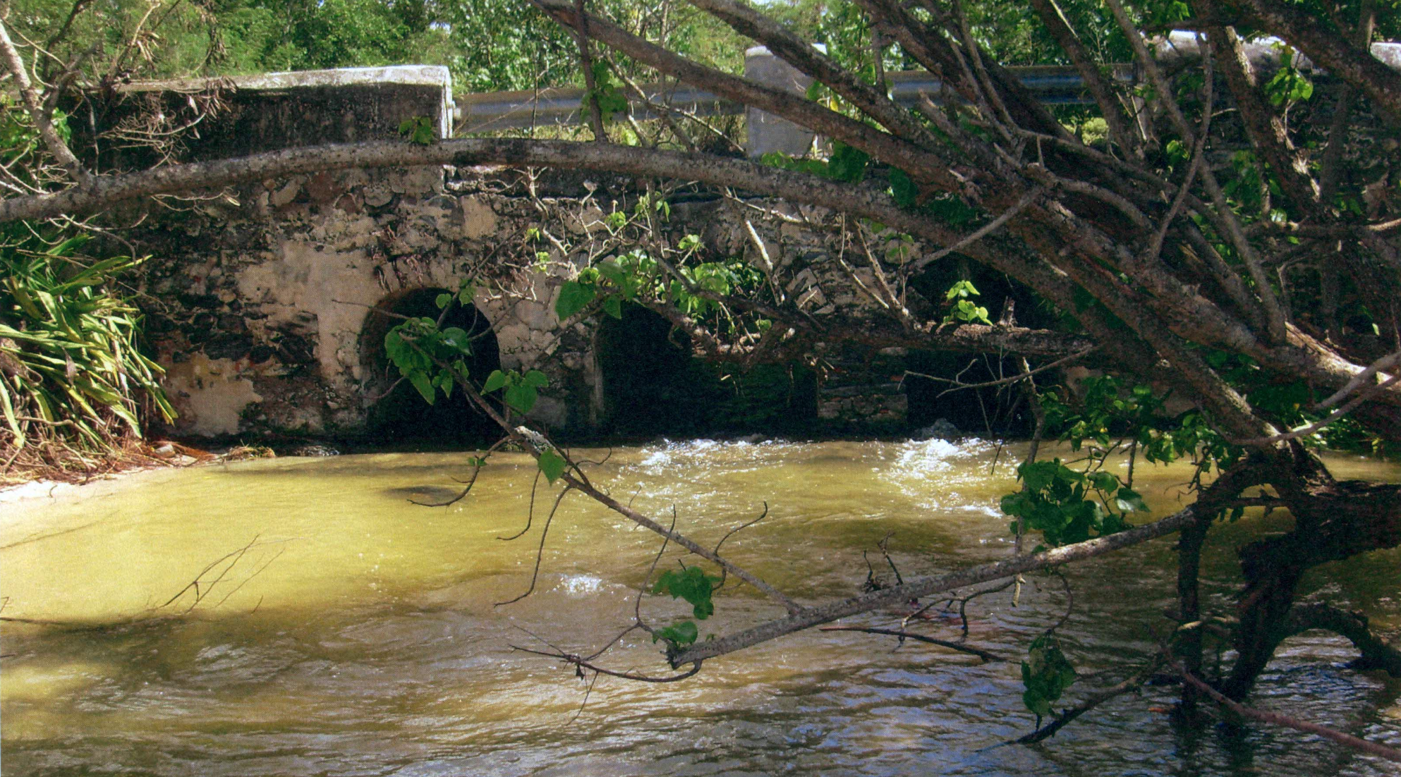 An old Danish bridge at Estate Williams along Emancipation Road on the northern coast of St. Croix. This flowing stream was during heavy rainfall that came from the highlands or mountainous area of the St. Croix countryside. (Photo by Olasee Davis)