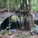 Old Danish bridge between Mount Victory and Estate PUnch