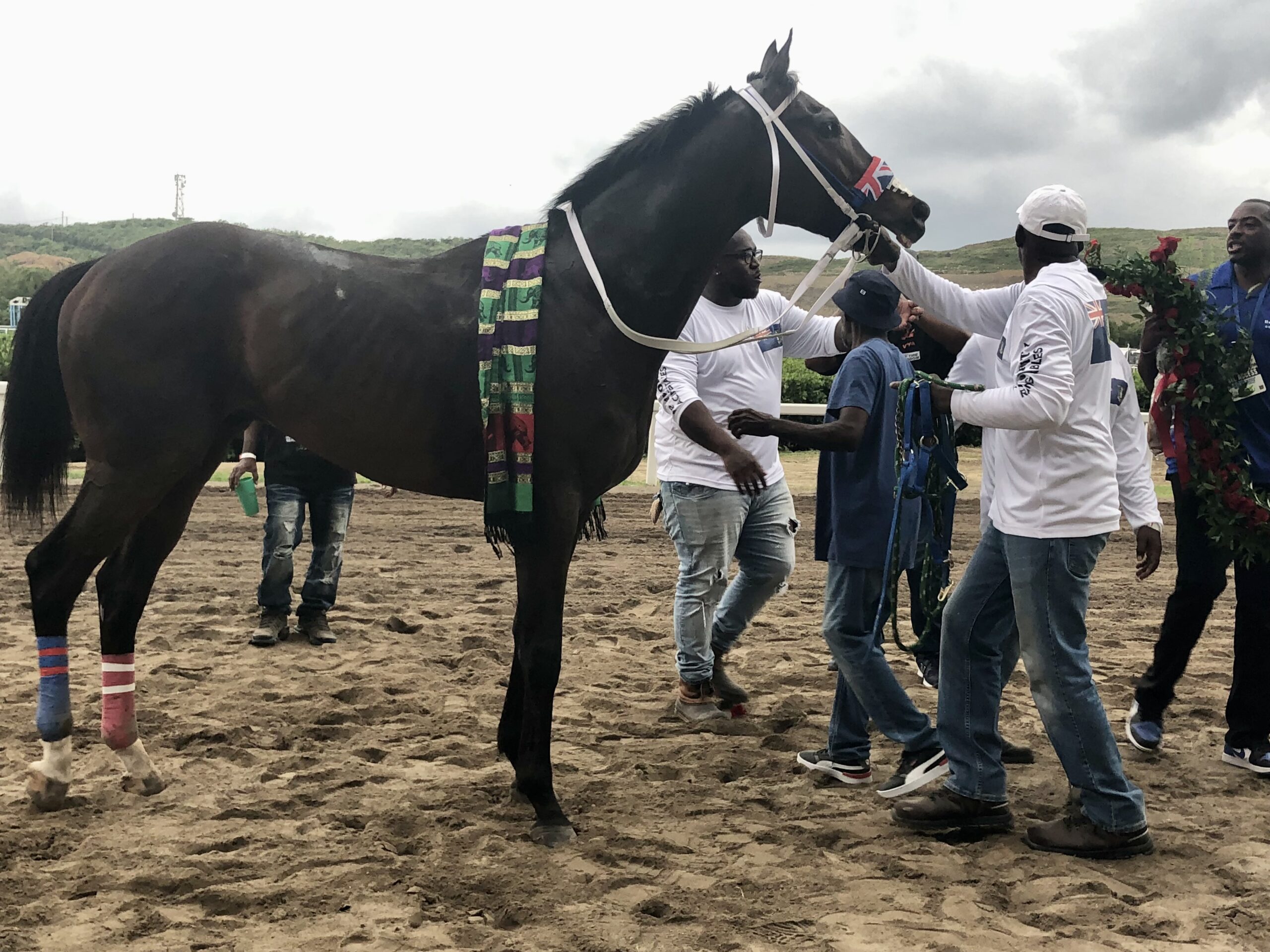 GhostInYou from the British Virgin Islands, making his debut appearance at the 2024 Carnival races, won the Governor's Cup on Friday. (Source photo by Judi Shimel)