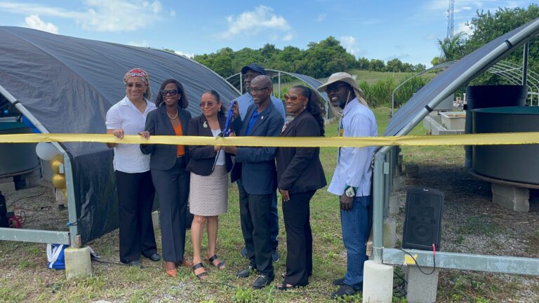 Double the Celebration: UVI Officially Opens Livestock and Aquaponics Facilities