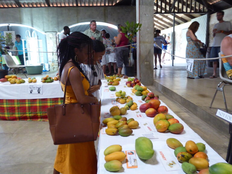 28th Annual Mango Melee Brings Excitement to St. George Village Botanical Garden
