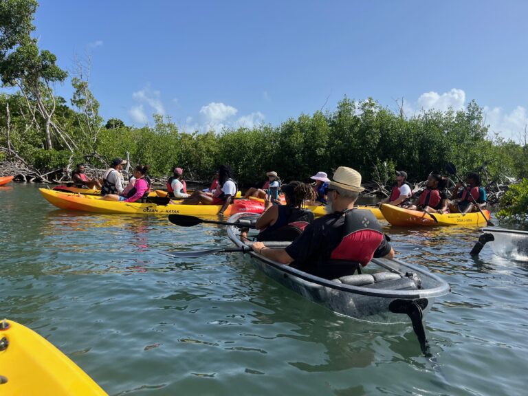 Kayaking Through Salt River a Great Way to Begin Coral Reef Week