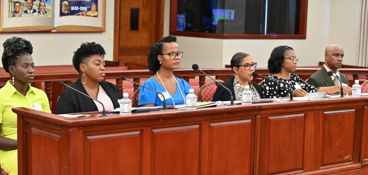 Tanya-Marie Singh, third from right, testifies Wednesday before the Senate Committee on Budget, Appropriations, and Finance. (V.I. Legislature photo)
