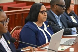 Commissioner Lisa Maria Alejandro addresses the Committee on Budget, Appropriations, and Finance Thursday. (Photos by Alvin Burke JR. and Barry Leerdam, Legislature of the Virgin Islands)