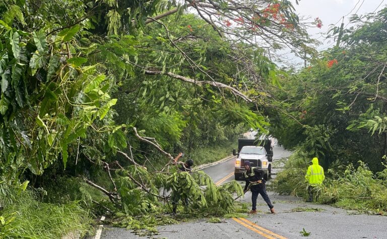 Government Offices to Reopen as Power and Water Restoration Accelerates Post-Storm