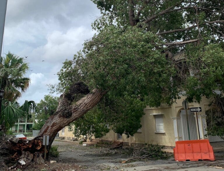 Response Teams Rally for Post-Storm Recovery: Mid-Day Update on Tropical Storm Ernesto
