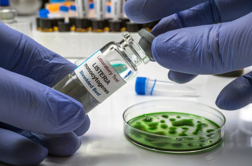 Consumption of food contaminated with L. monocytogenes can cause listeriosis, a serious infection that primarily affects people who are pregnant, aged 65 or older, or with weakened immune systems. Less commonly, persons outside these risk groups are affected. (Shutterstock photo)