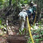 Jaguar trail