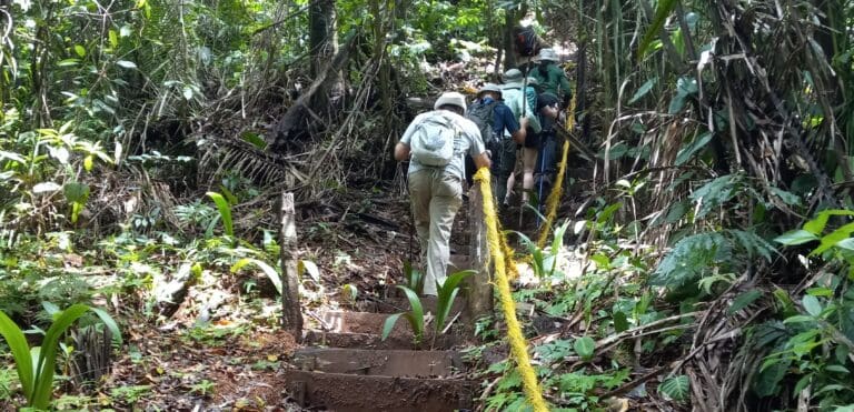 The trail we took to the mountain at Billy Barquedier National Park in Belize is called “Jaguar Trail.” Believe me, it was very steep in some areas with steps, benches and ropes to hold onto and rest as you pleased while making the climb. (Photo by Olasee Davis)
