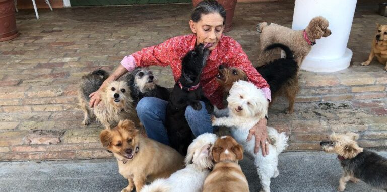 St. Croix Loses Beloved Artist and Businesswoman
