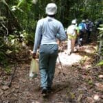 Jaguar trail