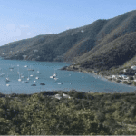Pretty shot of Coral bay by Elizabeth Escardo