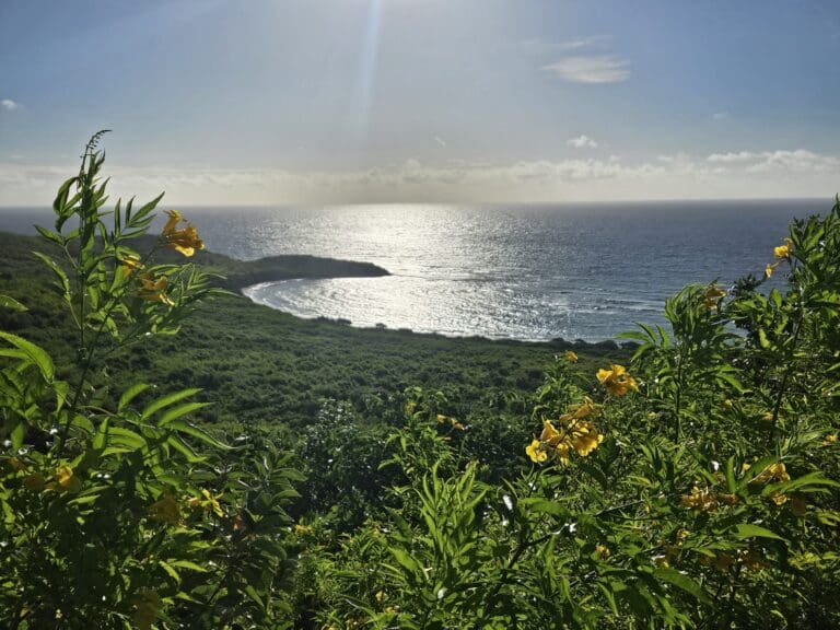 When I hiked with Nadia and her colleagues and friends on the east end of St. Croix, I thought of Crucian naturalist George A. Seaman when I explained to them how the rolling hills, valleys and coastal environment looked more than 150 years ago. Pictured is Jack Bay and Horse Shore Bay peninsula. (Photo by Nadia Owen-Graumond)