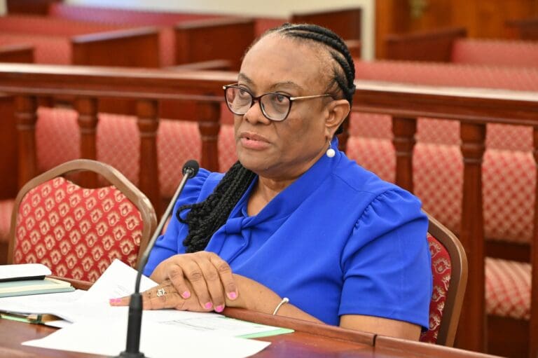 Lawmakers Press DLCA on Consumer Protections, Price Controls, and Business Accountability