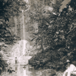 Caledonia waterfall