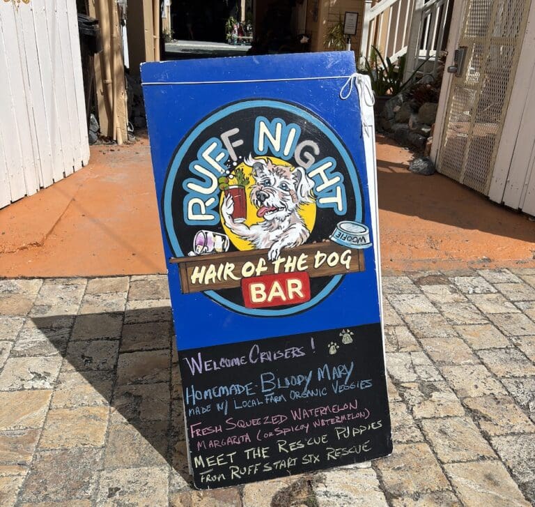 Ruff Start Creates a Business To Support Rescued Pups