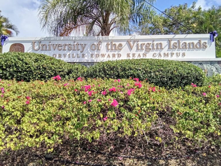 USVI LFFC Launches Free TAP Grant Academy to Support Food Security