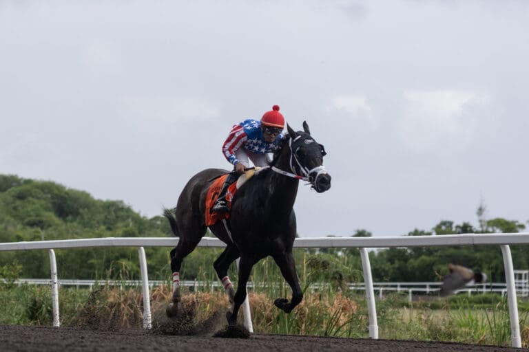 Photo Focus: Floki’s Flight Takes Governor’s Cup