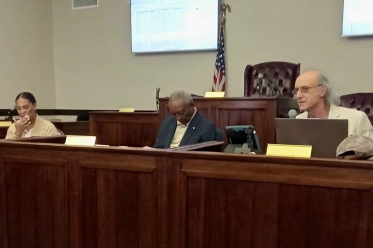 Committee on Government Structure Reviews Role of Legislature