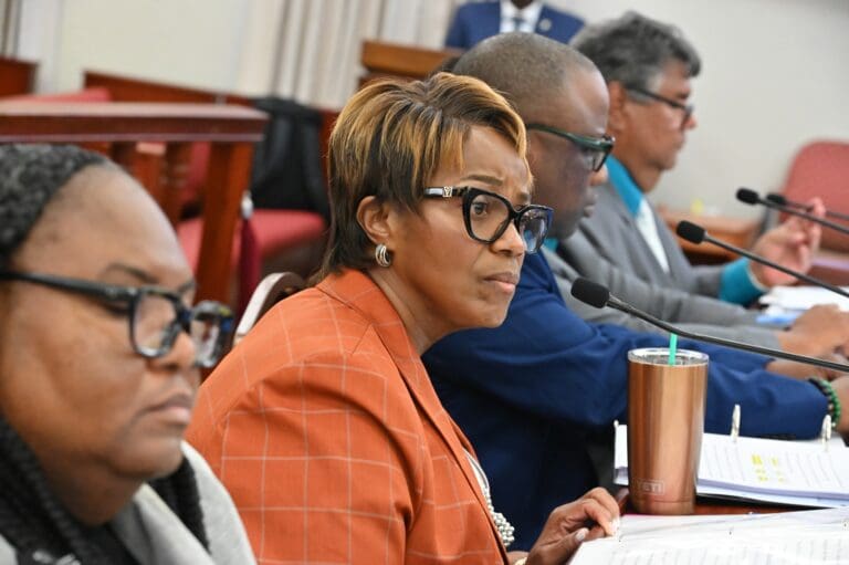 BOC Senate Hearing Sheds Light on Cost of Mental Health Inaction