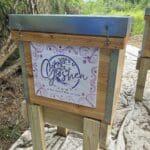 Goshen Farms hives 2