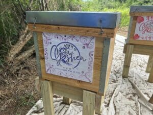 The farm recently welcomed hives from Goshen Farms. (Source photo by Siân Cobb)