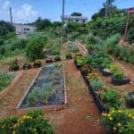 Wenner Hill Gardens