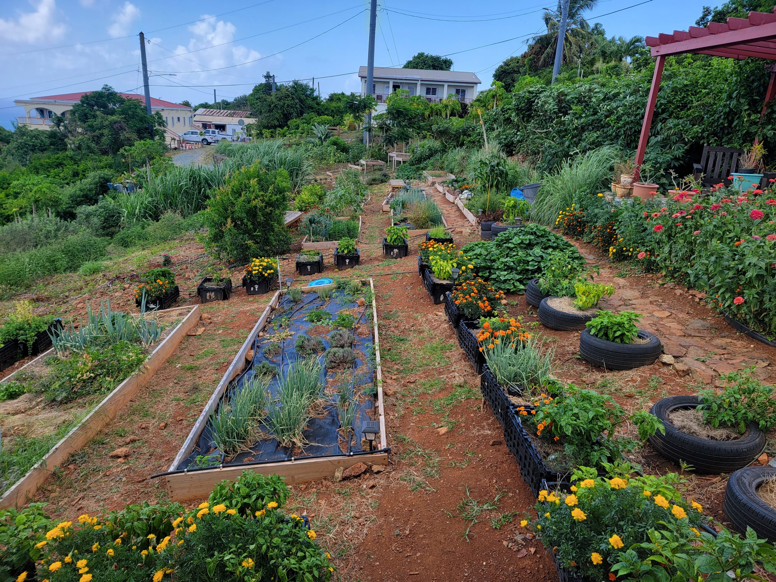 Wenner Hill Gardens and Cooperative features a wide variety of produce grown by its members. (Source photo by Shaun Pennington)