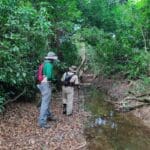 Nature trail