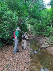 Henry and Rita, both members of the St. Croix Hiking Association, clean along the streambed of Estate Adventure Nature Trail. (Photo by Olasee Davis)
