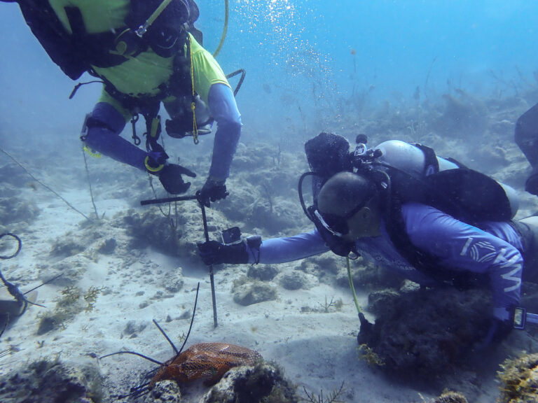 Watching the Water Flow: An Oceanographer Studying Coral Reefs Publishes a Study of St. John Hydrodynamics