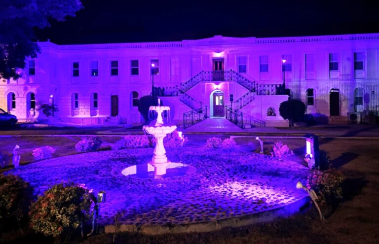 Photo Focus: Legislature Commemorates Purple Heart Day