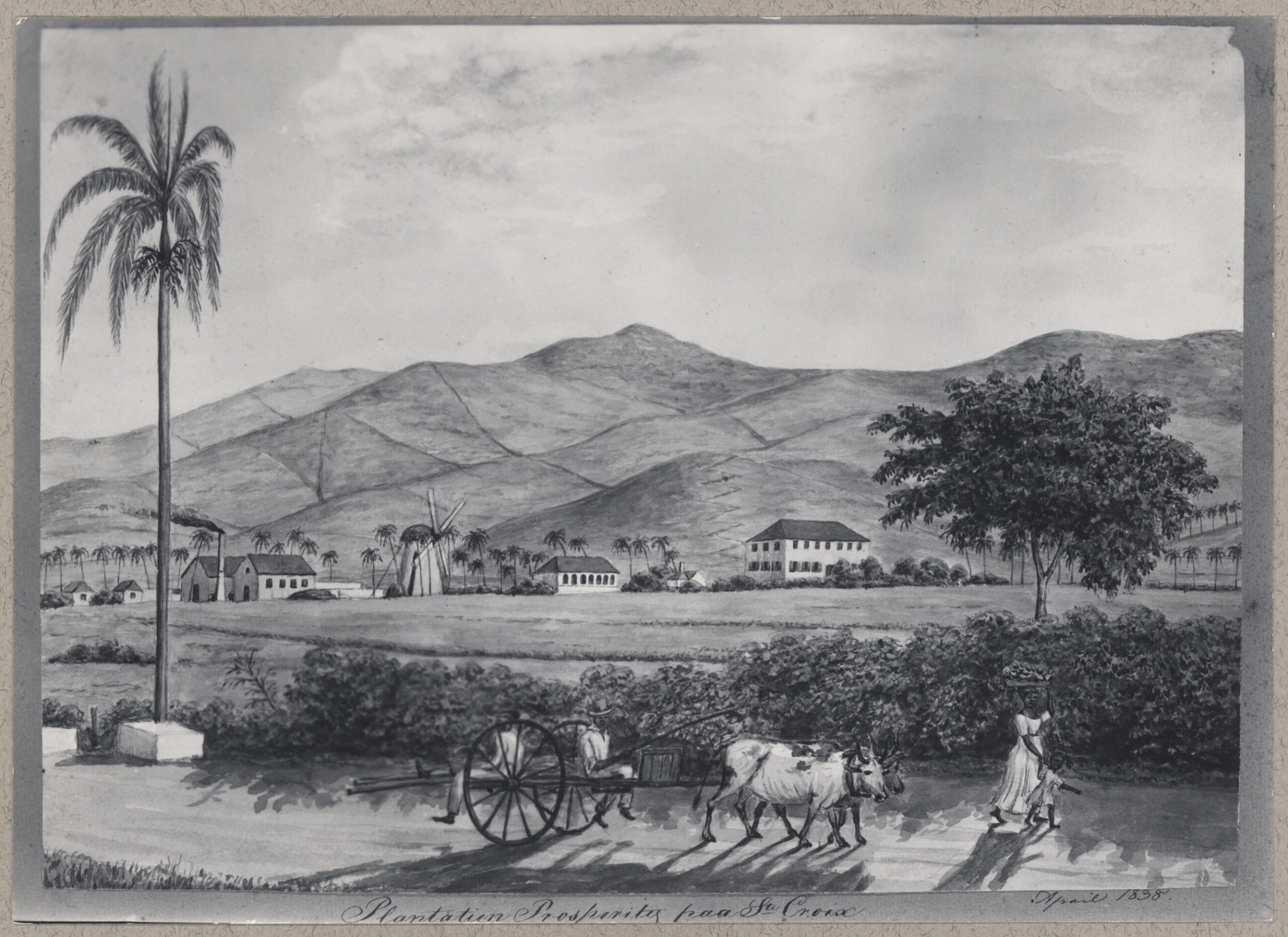 Estate Prosperity, Westend, St. Croix, whose owners were 1759 August Boyd, London, 1759; Isaac Markoe, 1770; and Isaac Markoe's heirs, 1780. (Image courtesy St. Croix Landmark Society Archives) 