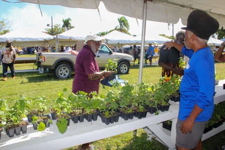 Celebrate World Food Day With UVI Oct. 19