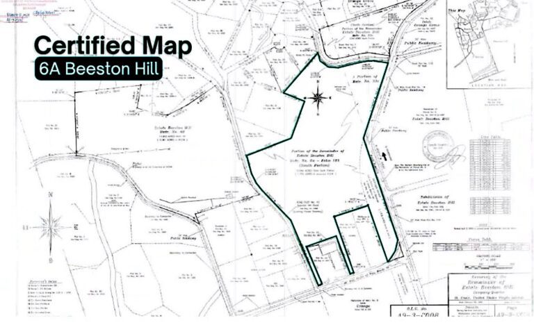 Developers Drop Strip Mall Plans to Focus on Housing, Neighbors Aren’t Buying It