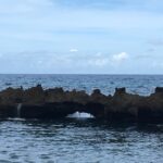 Annaly Bay tidepool