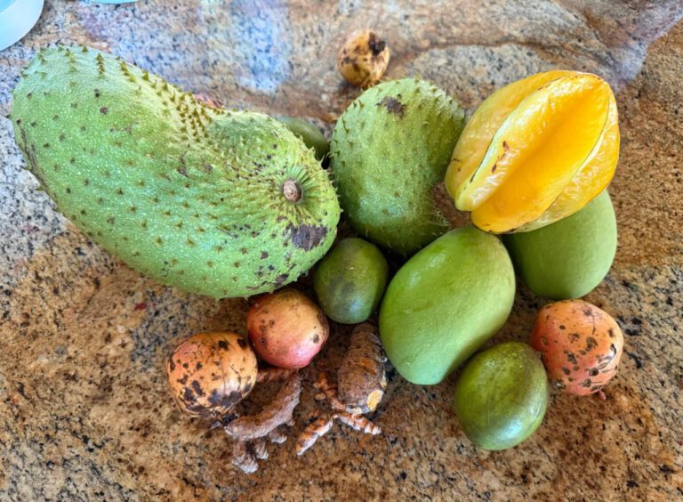 Food and Farm Council Promotes Fresh, Local Food Production