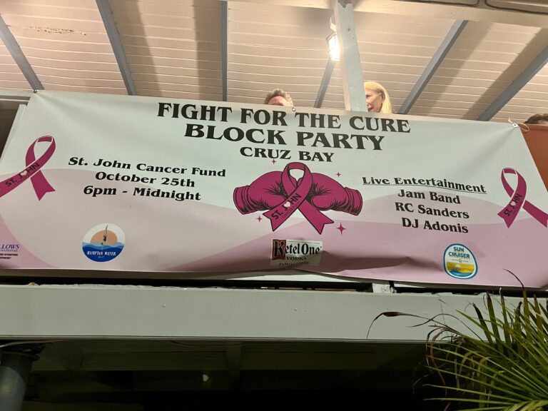 Photo Focus:  Annual Block Party Raises Funds, Awareness
