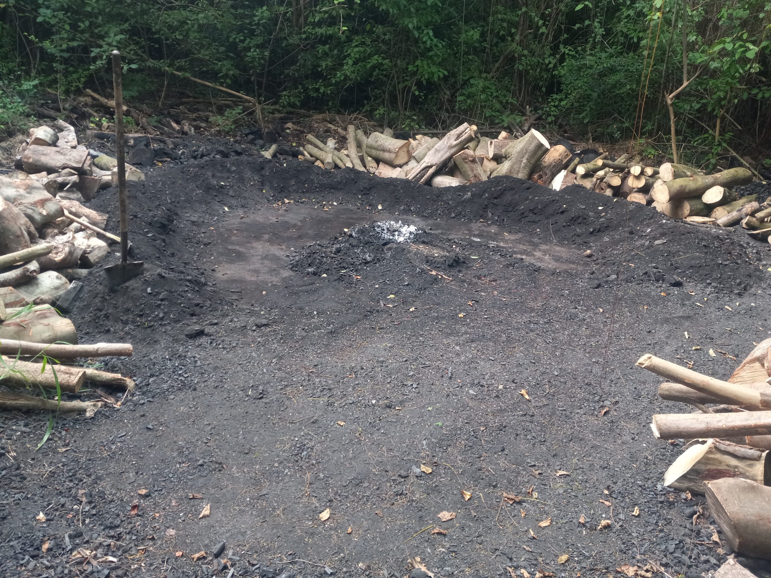 During the colonel history and early American rule of the Virgin Islands, charcoal pits were common. This illegal charcoal pit is located in Upper Bethlehem Estate. (Photo by Olasee Davis)