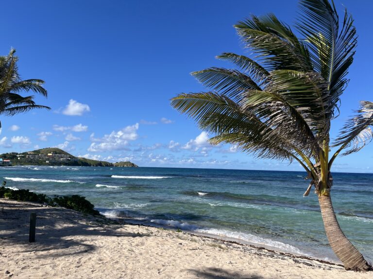 Tropical Outlook: Hurricane Season Nears End; ‘Christmas Winds’ Will Soon Arrive Across USVI and Puerto Rico