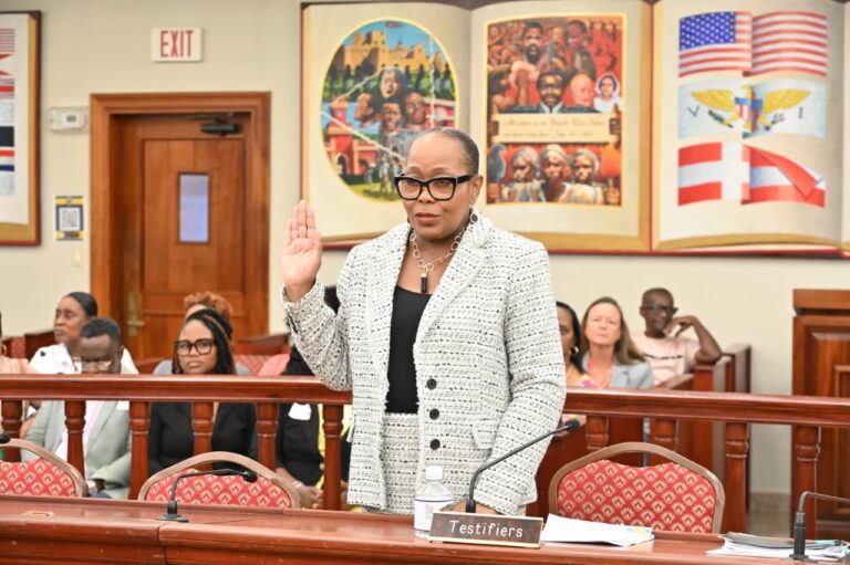 Lawmakers Advance Judicial, Tourism, and Cannabis Nominees — and Six Key Bills — in Packed Rules Committee Hearing