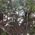 Mt Eagle well