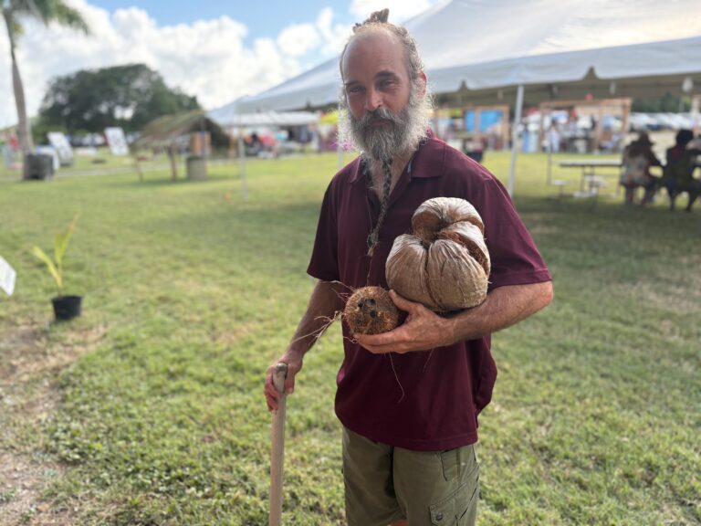 Photo Focus: Crucian Coconut Festival Celebrates Culture, Cuisine, and Community at Bethlehem Sugar Factory