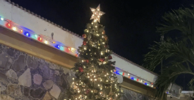 Frenchtown’s Annual Christmas Tree Lighting Honors Local Icons